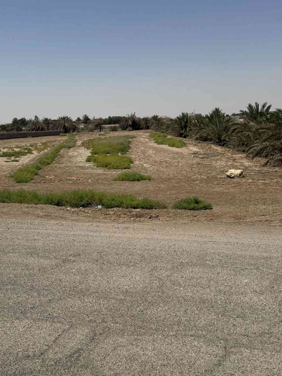 قطعة ارض للبيع المساحة 1750 بالمهدي قرب محطه قطار ساوة  شارع وماي اساله تحتها ومن جهه الثانيه نهر القائد مداور اسمهم طابو زراعي سند 25 باقي التفاصيل الاتصال ع رقم ‭0780 309 5063‬
