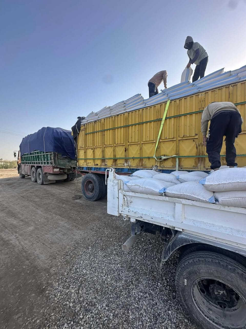 بعون  الله تم وصول نخاله عراقيه محلية درجة أوله اسعار مناسبه جمله ومفرد  جوه السوك العنوان ذي قار قضاء آلفجر شارع ابو تلاثين غرب باب علوة المخضر السعر ***********  / ***********
