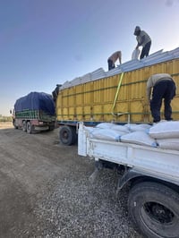 نخاله عراقية • درجة أولى • قضاء الفجر