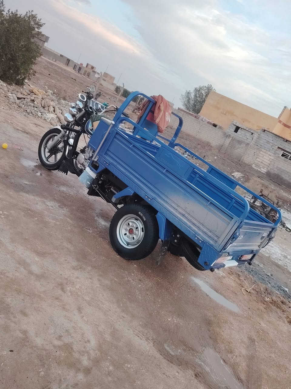 سلام عليكم ستوته البيع نوار الباشاه مكفواله كفاله عامه ***********
