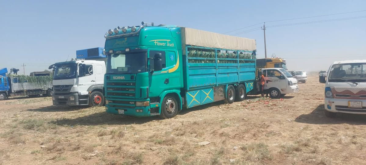 البيع سكانيه سحال موديل  2002  سنويه 27 الاستفسار على هاذا الرقم  ***********
