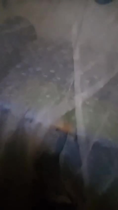 كاروك ويه المندر ب 50


**إذا كنت صاحب هذا الإعلان وتريد حذفه لأي سبب، رجاءا أرسل رسالة إلى الدعم الفني**