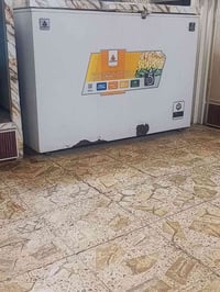 مجمدة • حجم جبير • شغالة