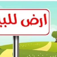 قطعة ارض للبيع • ارض سند زراعي • ارض خدمات كاملة • ارض ابوفهد • ارض 12...