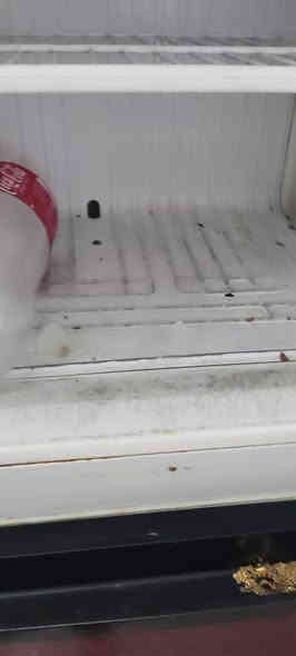 غراض للبيع الثلاجه ٨٥الف البلازمه ٢٥الطباخ منضدي ٢٠الف والسخان ٣٥الف موقع الغراض الحسينيه مسقط مقابل عماره المصري الاتصال فقط واتساب***********
