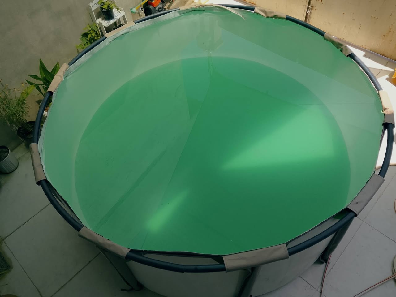 السلام عليكم مسبح للبيع 
القطر 200 cm
الارتفاع 80 cm  
السعر 60


**إذا كنت صاحب هذا الإعلان وتريد حذفه لأي سبب، رجاءا أرسل رسالة إلى الدعم الفني**