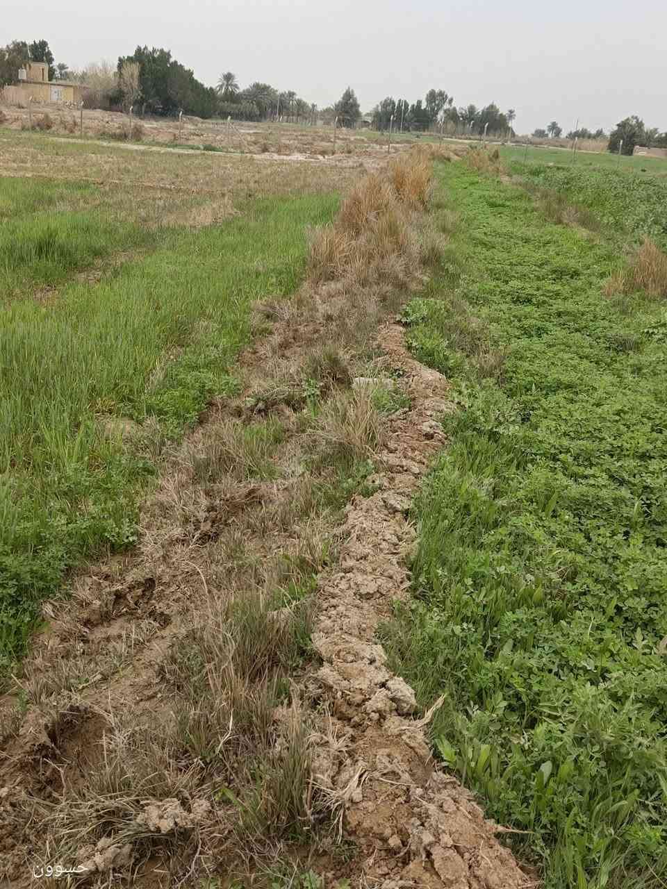 ثلاث دوانم للبيع 
🔹ثلاث دوانم للبيع أرض زراعية واسط الكوت حي الحكيم الثانيه مجاور مرمرة للسيراميك متوفر ماء للسقي + كهرباء تبعد عن الشارع العام (كوت -ميسان) 250 م
🔹 جنس الارض عقد 117  

🔹للاستفسار ***********
🔹متوفر واتساب
