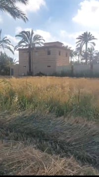 طريق المعمورة رشيد • ١٠ فدان • فيلا وحمام سباحة