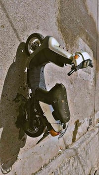 بطه • شغاله • تايرات جدد