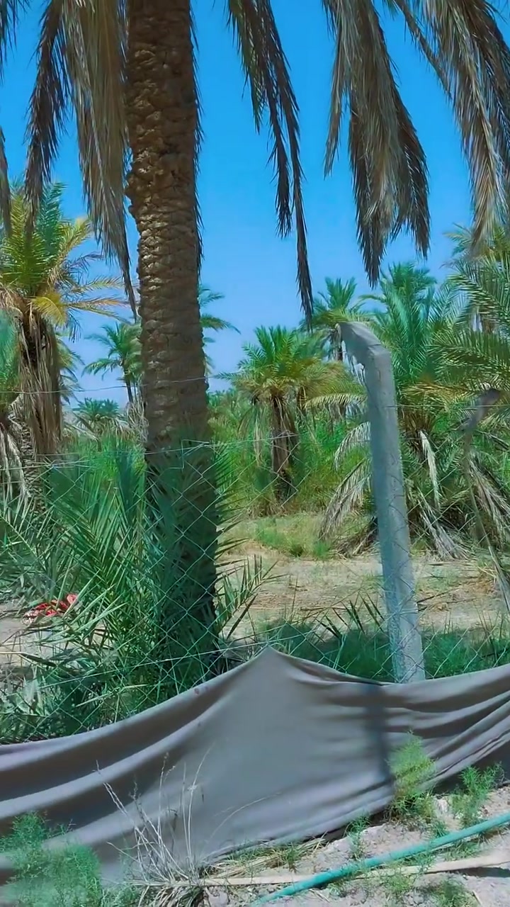 للبيع – نص دونم فرصة استثمارية نادرة جداً 
📍 طريق بغداد – قرب سيطرة الوند (سايد الدخول)
📌 أقل من 100م عن شارع الزوار
✨ تفاصيل العقار: • نص دونم
• سند 25 تحويل أسهم (وليس إقرار محكمة)
• موقع استثماري قوي جداً على خط الزوار
• البلوك المقابل موكب خدمي
• خدمات كاملة (ماء سقي + ماء إسالة + كهرباء)
📈 ميزة الموقع: سايد الدخول يعتبر أعلى قيمة من جهة الخروج لخدمة زوار الإمام الحسين عليه السلام
💰 السعر مناسب جداً وقابل للتفاوض 
📞 اتصال أو واتساب: ‎***********
