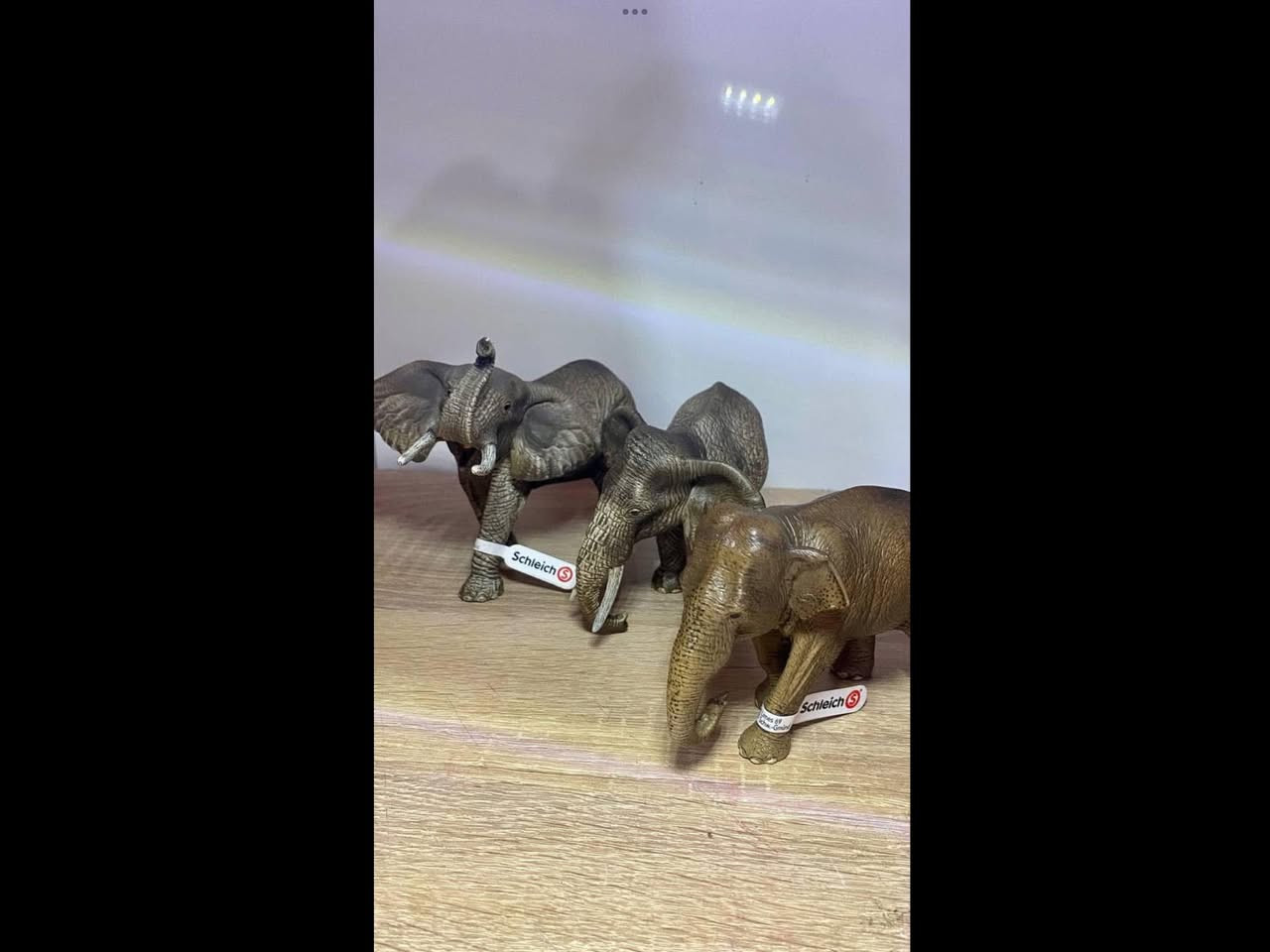 حيوانات وديناصورات اصلية
لايوجد توصيل


**إذا كنت صاحب هذا الإعلان وتريد حذفه لأي سبب، رجاءا أرسل رسالة إلى الدعم الفني**