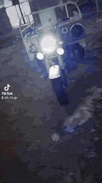 سلام عليكم ستوته للبيع مديل 9سنويه الماني ثاني يوم طلع لواحات بدي 14لا ملحوم ولا مكصوص تواير ابو لخطه مال كيه بلجيس كهربائيات كله شغاله سعر 1450وبيه مجال مكاني ناصريه غراف اتصل ‏‪***********‬‏
