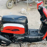 ماكس بوليس • نوزل • ٢٠٠٩