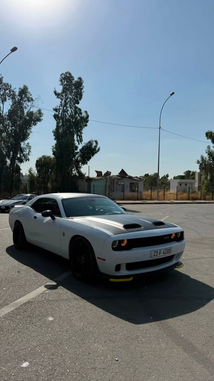 دودج جالنجر هيلكات جيلبريك (Jailbreak)
717HP

من أنظف وأجمل سيارات العراق، وسيارة استخدام شخصي وعلى إيدي من أول ما وصلت.

مواصفات السيارة:

* ماشية فقط 9,000 Mile.
* داخلة العراق Clean Title.
* صبغ أمريكي فقط:
    * جاملغ خلفي.
    * باب.
* الإيرباك بشرط.
* بجم كبس .   
الحوض كبس.
* بدون أي برغي نقص.
* السيارة بالكامل وضع وكالة:
    * المكينة وكالة.
    * السوبر وكالة.
    * الحجرات وكالة.
    * وكل أجزاء السيارة أصلية وما بيها أي لعب أو تعديل.

السيارة مداريها من كلشي، ونظافتها تبيض الوجه، واللي يعرف سيارات الهيلكات راح يميزها من أول نظرة.

السعر: 36,500 دولار (ورقة فقط).

والله العظيم خواتها بالسوق توصل إلى 5 شدات وما يوصلن لهالنظافة.

سبب البيع: فاتح مشروع جديد، والرزق أهم.
الله يرزقني ويرزق الجميع، وبالعافية على اللي تكون من نصيبه.

للتواصل:
📞 ***********
