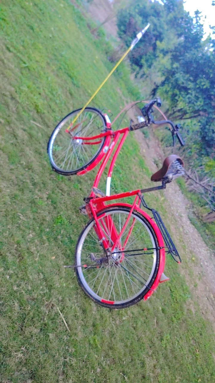 باسكل للبيع رقم الهاتف ***********
