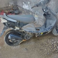 دراجة • فحل • بابل