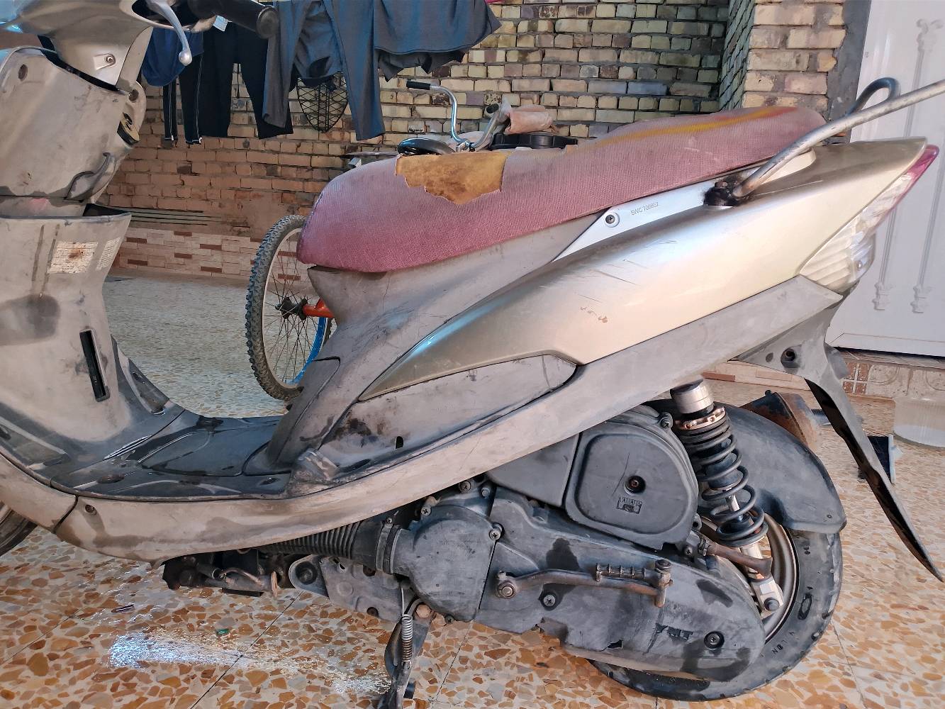 ماكس منغولي شهرين من طالعه وكيل بلادي ممفتوح كفاله 800 وبيهة مجال ***********