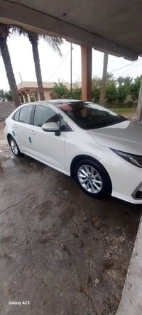 كورلا • ٢٠١٩ • رقم اربيل