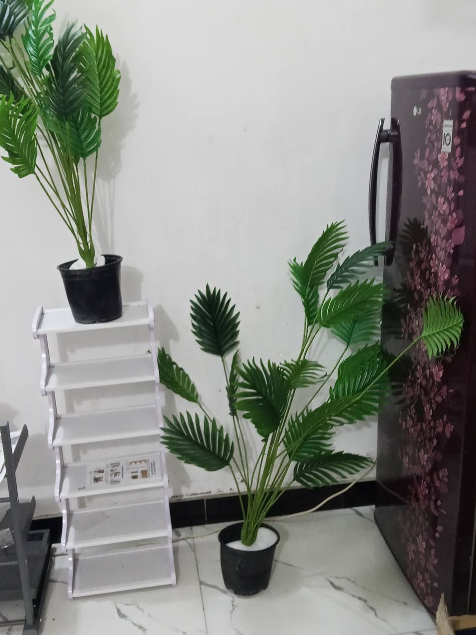 السلام عليكم شباب أغراض منزلية ورد أشجار جهاز رياضة ايباد فراش اطفال فرش جهاز تيلسكوب كيتار كلشي موجود بصور متوفر باسعار مناسبة الشراي يتواصل ***********
