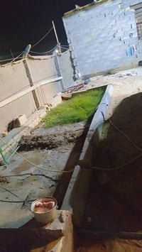 طابو زراعي • سند ٢٥ • خلف الزيتون