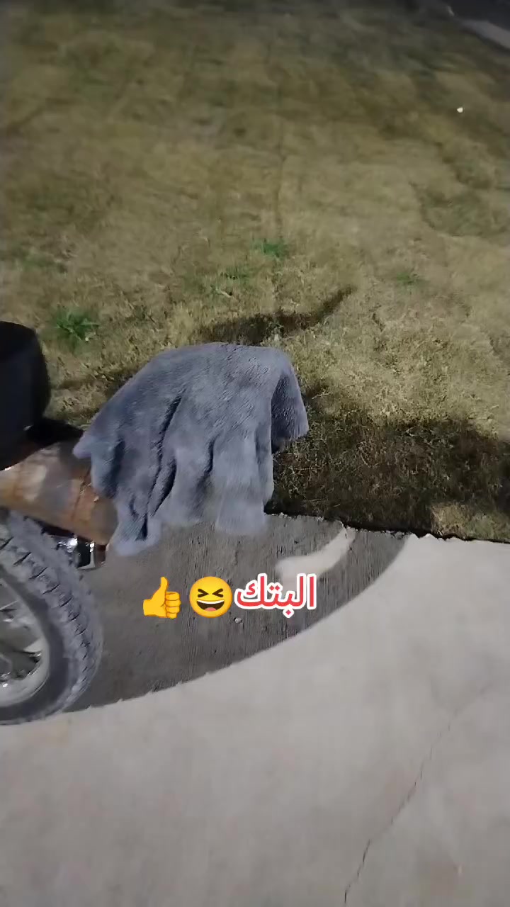 سلام عليكم للبيع 25شلامجة مسحوكة سحكة بطلة دراجة بعدهة مال لعب ازامط بيهة والله


**إذا كنت صاحب هذا الإعلان وتريد حذفه لأي سبب، رجاءا أرسل رسالة إلى الدعم الفني**