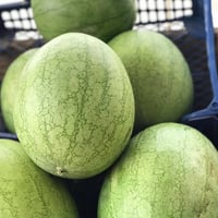 مخضر • فواكه • أسعار مخضر اليوم • توصيل خضروات • سوق خضار • خضروات وفو...