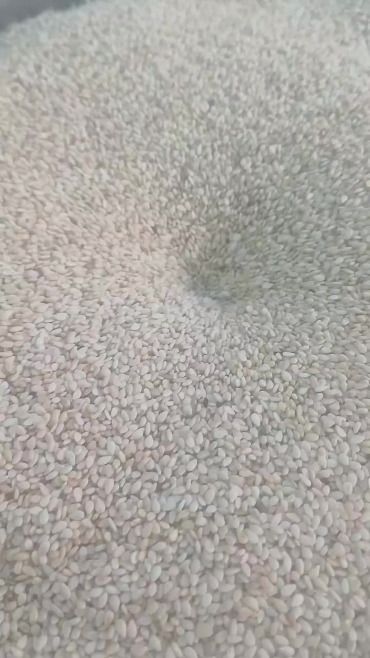 متوفره معصره راشي حجم 20 كيلو مستعمله 3 اشهر فقط
البصره قضاء المدينه 
***********
