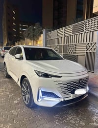 يوني كي • ٢٠٢٤ • البصره