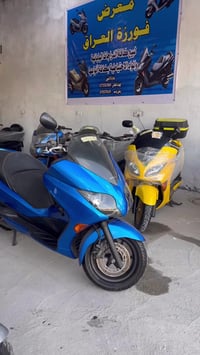 فورزا • صفر • كفاله عامه