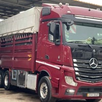 اكتروس ٢٠١٨ • حجم ٤٥ • الرمادي العلوة المركزية