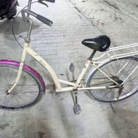 باسكل بطة • حجم 26 • النجف