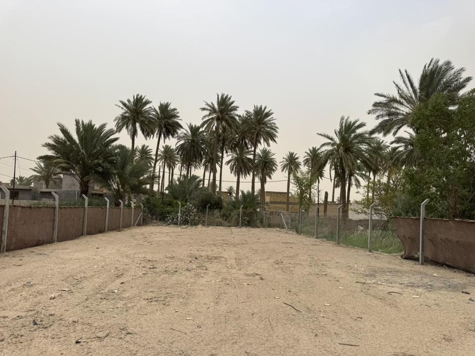 السلام عليكم ارض مساحه 550 متر طابو سند 25 
بابل الكفل شارع الاطباء ترهم مجمع طبي اومجتملات 
او كلشي 
كافه الخدمات متوفره 
ماء كهرباء تبليط
مسيجه
السعر 50 وبي مجال استفسار 
***********
