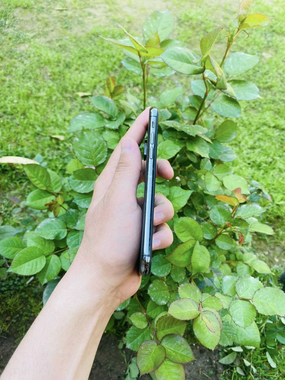 ايفون X عادي
ذاكرة 64 بطارية 100 نموذج M امريكي شرط تك سيمكرت مبدل بطارية اصلية وشاشة اصلية كامرات طبع فيس ايدي  متوقف جهاز شخط ما بي كله شغال السعر 125 وبي مجال بسيط


**إذا كنت صاحب هذا الإعلان وتريد حذفه لأي سبب، رجاءا أرسل رسالة إلى الدعم الفني**