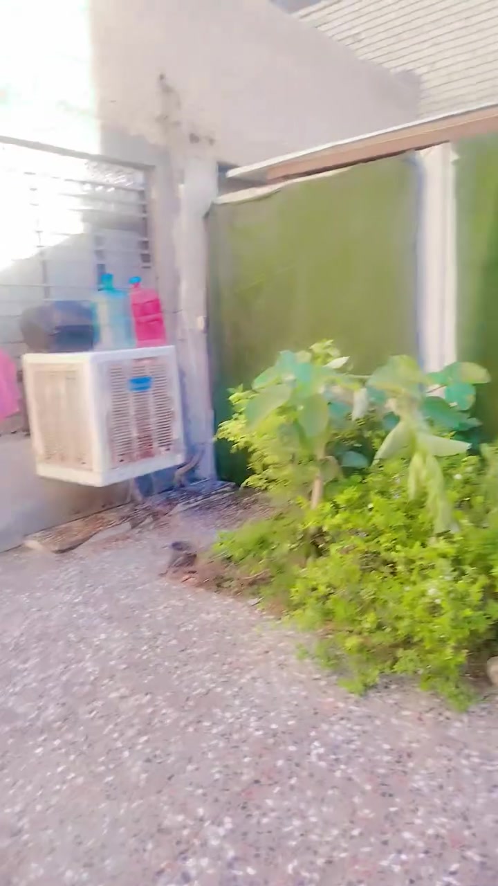 بيت الايجار قاطين يحتوي عل 4 غرف واستقبال ومطبخ وحمامات 2 وتواليت خارجي منطقه الافين قريب عل سعره 7000 رقم ***********

