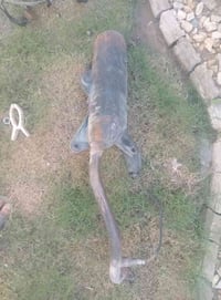 تفصيخ سكنس هاوزن ب10 صلنصه صجميه امل حساس ب20 كاعيه مال سكنس لد طلاعات...