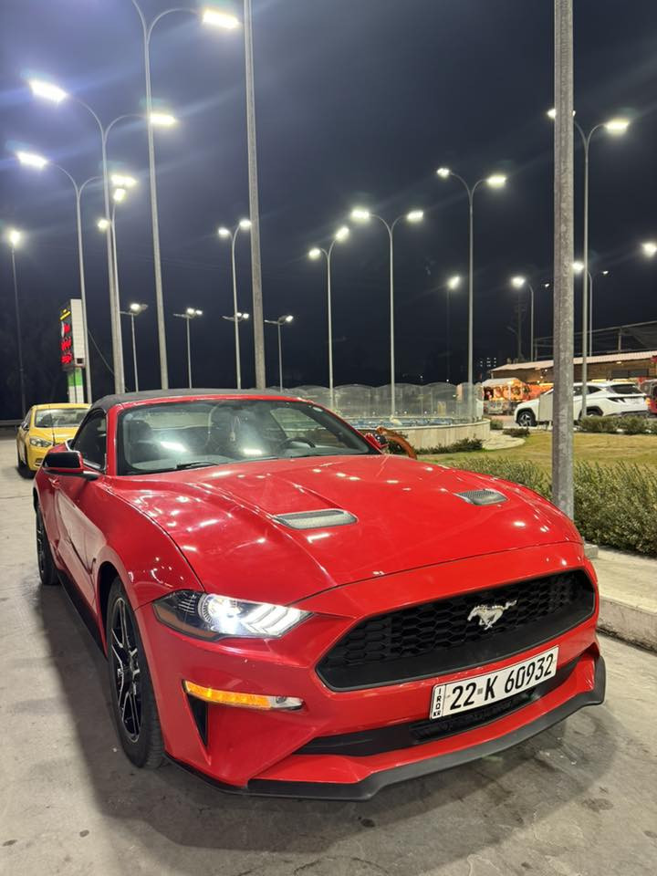 موستنك ايكو بوست 2019 كشف لون احمر مميز بريميوم فول مواصفات اربع سلندر 2.3 توربو حادث قطعتين جاملغ خلفي ايمن مصلح ومصبوغ بدون كص وباب ايمن امبدل نفس اللون اصلي ماشية 75ميل بأسمي تحويل مباشر  سنوية وهزة جديد كير 10 سرعات مكفول ومكينة ولغد وشاصي وحجر بيئة مكفول مكان السيارة بغداد *********** السعر 160
