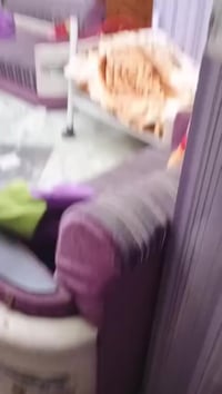 بيت للبيع • الحبوبي • ١٠٠م