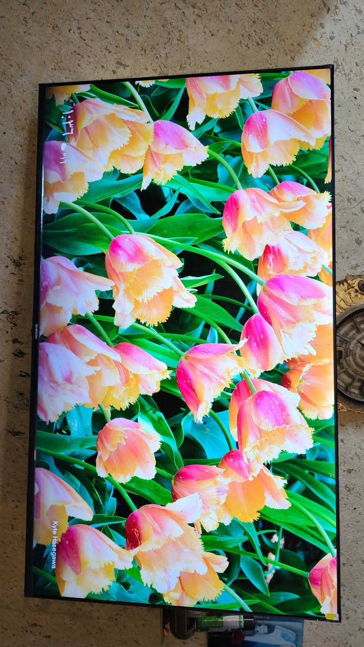 سلام عليكم شاشه نوع شينون حجم 65اجدي ناطقه ستخدام سبوع سعر 450وبيهه مجال


**إذا كنت صاحب هذا الإعلان وتريد حذفه لأي سبب، رجاءا أرسل رسالة إلى الدعم الفني**