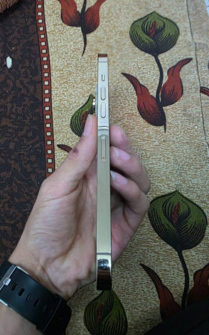 سلام عليكم

ايفون 14 برو ماكس

نموذج / M

ذاكره 128

بطارية 87 بلادي

الجهاز انطي شرط مامفتوح كله بلادي 

سعر 700 و بي مجال بسيط

رجأن المو شراي لا يكسر بجهاز


**إذا كنت صاحب هذا الإعلان وتريد حذفه لأي سبب، رجاءا أرسل رسالة إلى الدعم الفني**