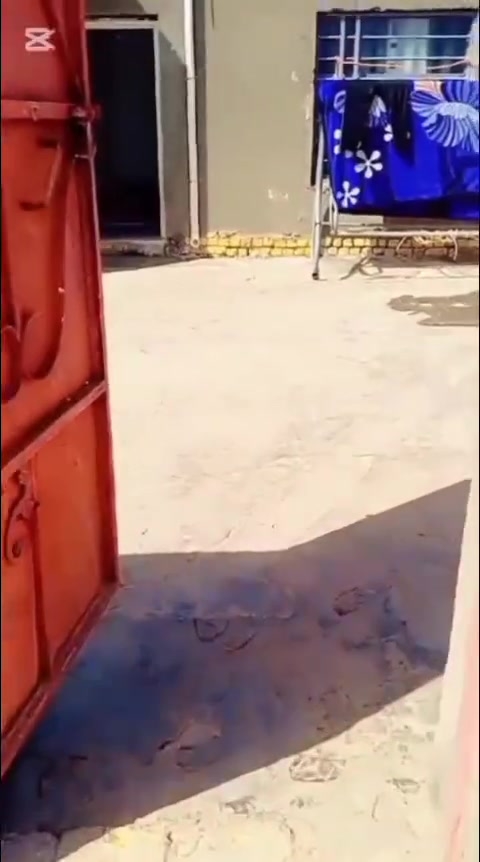 من رخصة  مدير الكروب   بيت ((   تجاوز  )) للبيع     سقف عكاده مساحة 200 متر منطقة الجربوعيه الأولى الساده ال حافظ قرب  سيد ستار/ قرب الشارع السيدين  الحولي  مال جسر بربوتي  كامل خدمات /ماي/  كهرباء /مجاري   السعر 15 مليون قفل قفل أ تصال  على صاحب البيت  رقم مبايل وتساب  ***********
