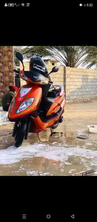 سايم ابو عيون للبيع بدون اوراق او مراوس سعر 600وبي مجال شراي مراسله وا...