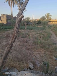 نهاية كراغول • زراعي • ١٤٠م