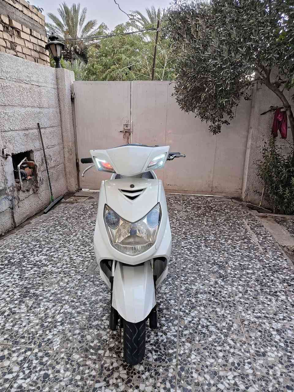 دراجة سكنس فحل ياباني نوزل خطين دراجة كفالة عامة اي نقص ما بيها كفراتها نضيفة كهربائيات كلها كاملة محركها بلادي لا نضوح ولا تبخير سعرها 600 مكاني الشعلة ***********
