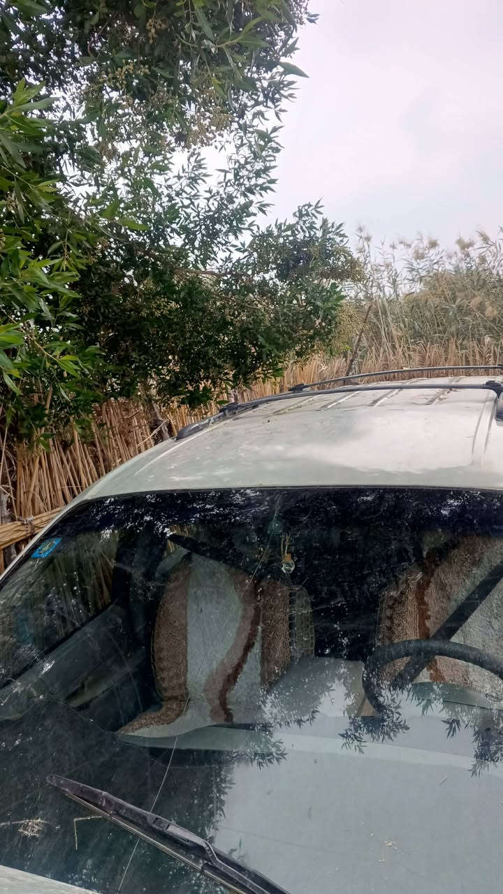 سيارة دوج كرفان موديل 2000
السعر 55ورقه وبيها مجال 
رقم ا لهاتف 
 ***********
