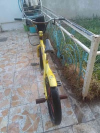 باسكلات • نضيفات • ميسان