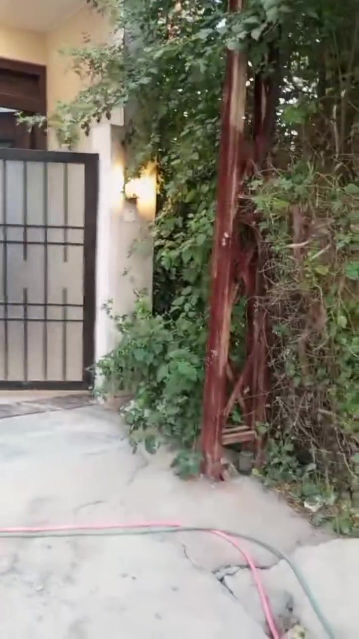 🏠 دار حديث للبيع - درجة أولى 🏠
تعلن شركة الجبوري للعقار والمقاولات العامة عن عرض دار مميز للبيع:
📌 تفاصيل العقار:
 نوع الملك: ملك صرف زراعي (سند 25).
 الموقع: منطقة السبع أبكار - خلف المعارض.
 المساحة الكلية: 50 متر مربع.
 الواجهة: 3.5 متر.
 النزال: 14.5 متر.
 عرض الشارع: 6 متر.
🧱 تصميم الدار (3 طوابق - بناء حديث درجة أولى):
 الطابق الأول: طرمة + صالة + حولي + مطبخ + خدمات + منور.
 الطابق الثاني: غرفتين نوم + حولي + خدمات.
 الطابق الثالث: غرفة نوم + حولي + بيتونة + سطح.
💰 السعر: 130 مليون دينار عراقي (وقابل للتفاوض/بيه مجال).
📍 عنوان الشركة:
الكريعات - الحي الكويتي - شارع حسينية أبي تراب - قرب فلكة القرغولي.
📞 للاستفسار والتواصل الإتصال بالرقام التالية:
 أبو صكر الجبوري: ***********
 رقم الهاتف الثاني: ***********

