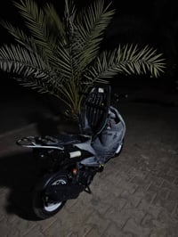 منغولي حربي • كفاله • مامفتوح