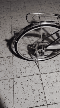 السلام عليكم باسكل نضيف كدام عينك بالة الماني عكرب حساس كله شغال عوزه بس كير حجم27(السعر120)وبي مجال الشراي يراسني خاص وبي خير ويدلل


**إذا كنت صاحب هذا الإعلان وتريد حذفه لأي سبب، رجاءا أرسل رسالة إلى الدعم الفني**