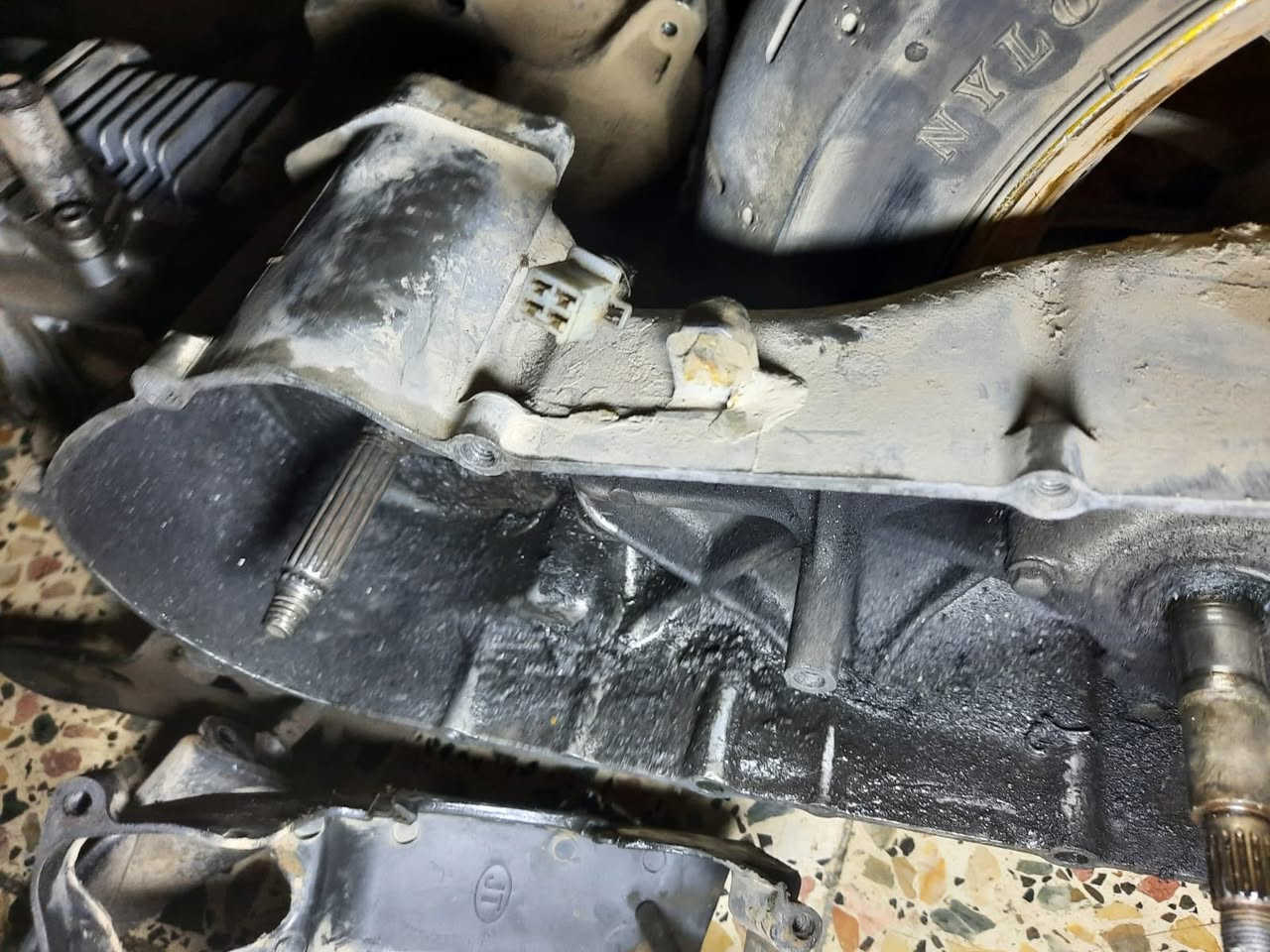 مكينه ماكس عدله كوم حديد سعر ٥٠ قفل عدا الويل مكان بغداد توصيل مَـاڪـو


**إذا كنت صاحب هذا الإعلان وتريد حذفه لأي سبب، رجاءا أرسل رسالة إلى الدعم الفني**