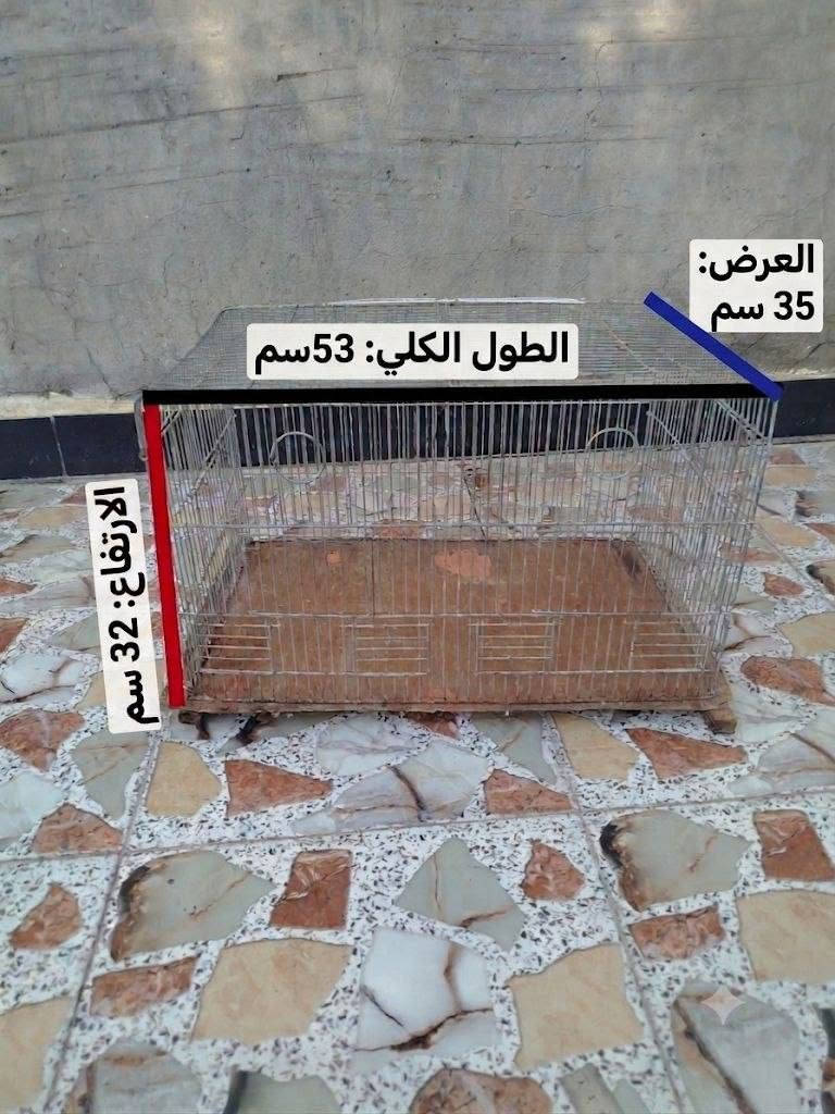 سلام عليكم عندي اقفاص نضيفات رايد الجبير ب25 قفل و القفص مال عرض ب10 مكاني ديالى بعقوبة كلشي ما بيهم بس القفص الجبير بي عيب تواصل ويانا خاص و نكلك المشكلة الصغيرة


**إذا كنت صاحب هذا الإعلان وتريد حذفه لأي سبب، رجاءا أرسل رسالة إلى الدعم الفني**